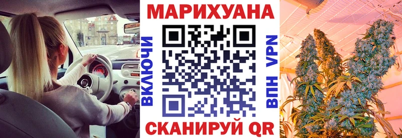 Шишки марихуана план  Тимашёвск 